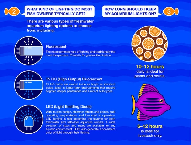 Marineland 32996 LED Aquarium Light, Natural Shimmering Light,Glass - Image 5